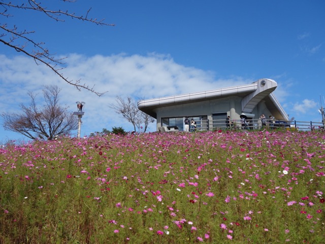 鷲ヶ峰コスモスパーク