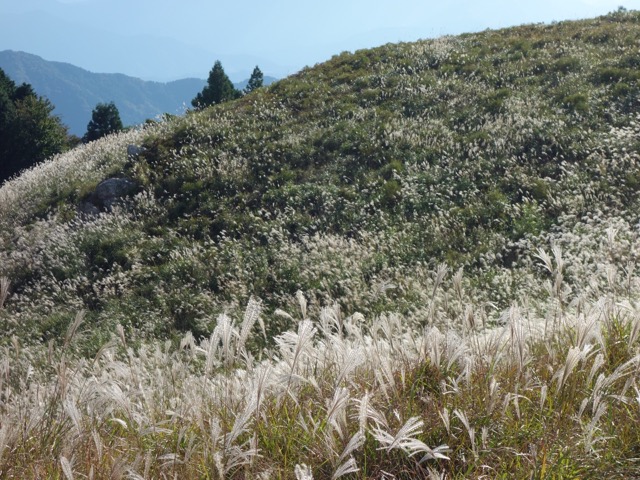 生石高原