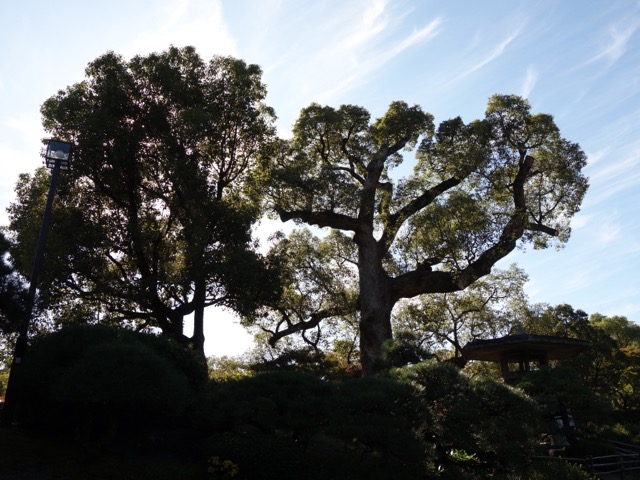 相楽園