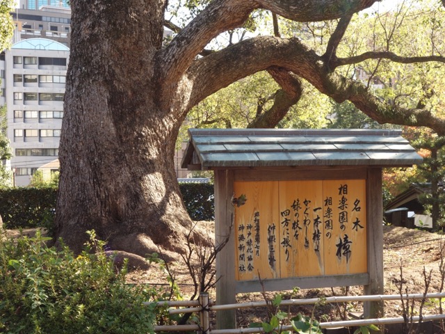 相楽園