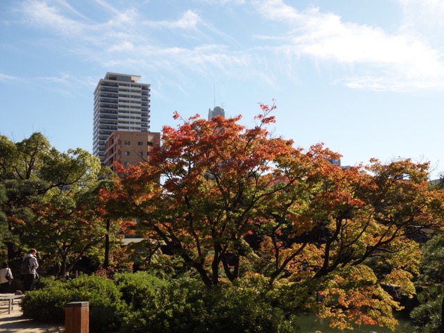 相楽園