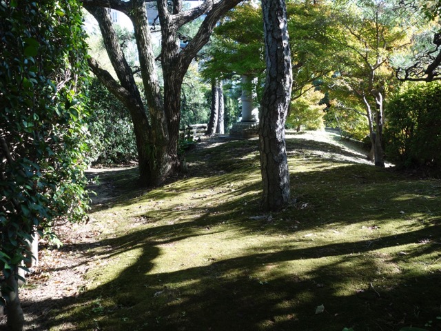 相楽園