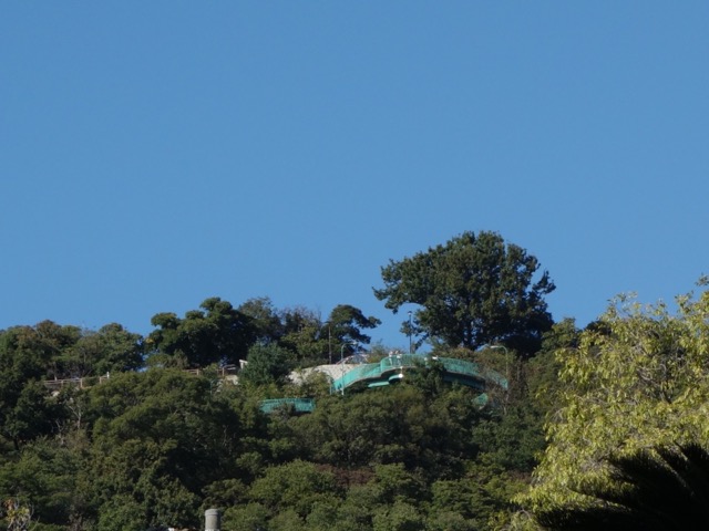 相楽園
