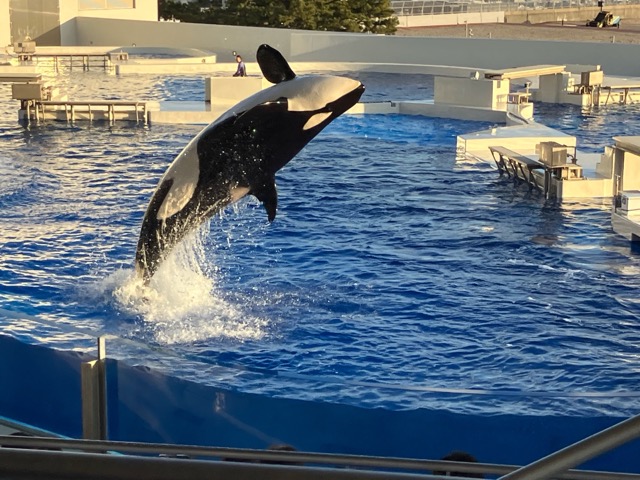 神戸須磨シーワールド