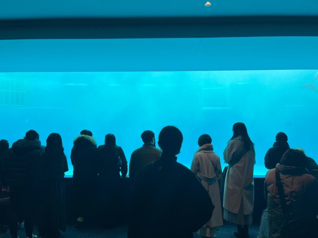 神戸須磨シーワールド