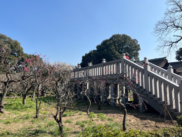 道明寺天満宮