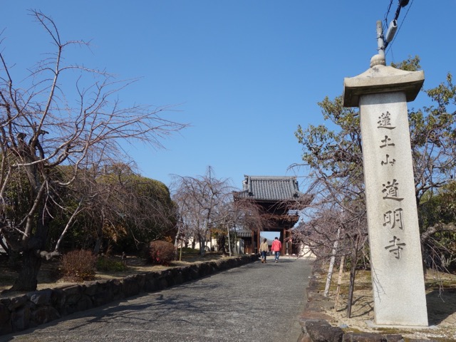 道明寺