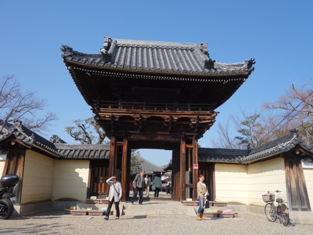 道明寺