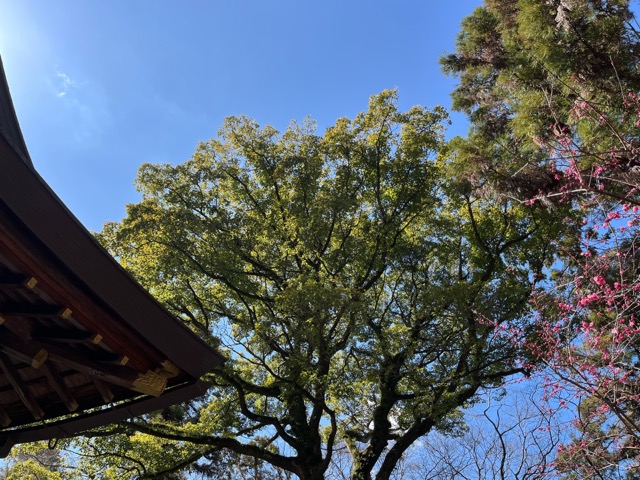 枚岡神社