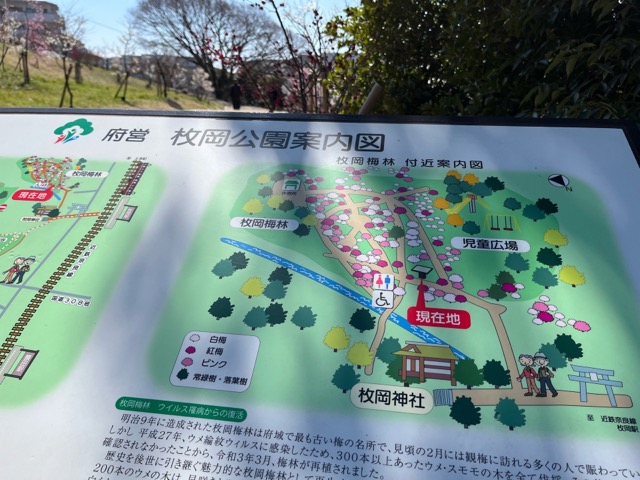 枚岡梅林