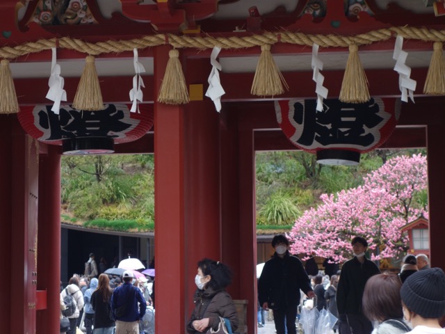 太宰府天満宮
