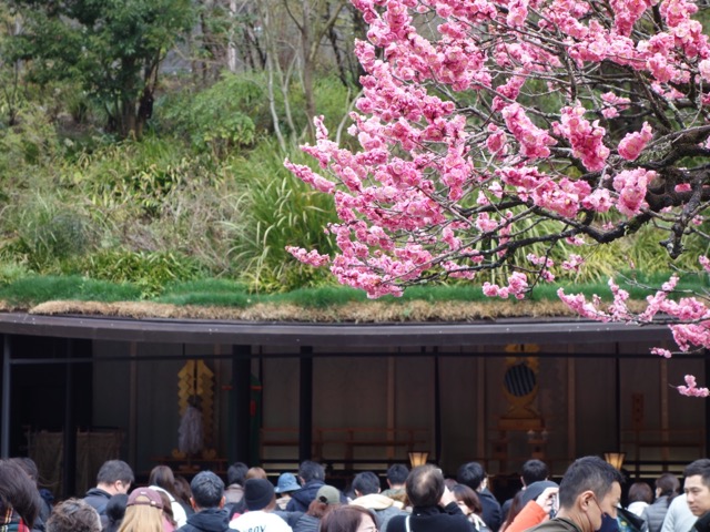 太宰府天満宮