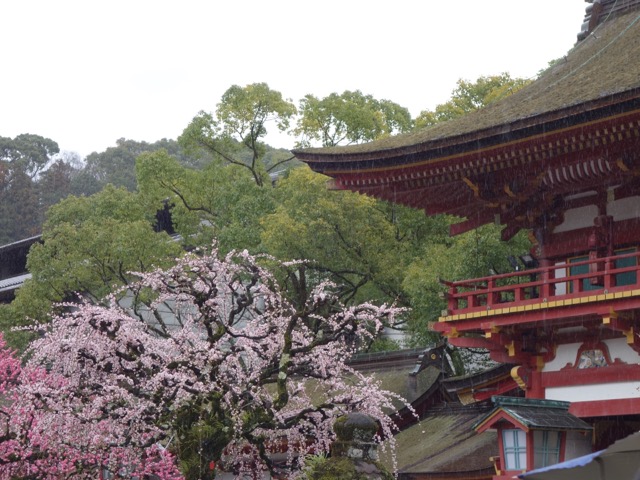太宰府天満宮