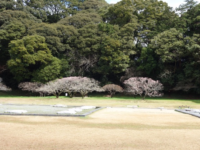 大宰府政庁跡