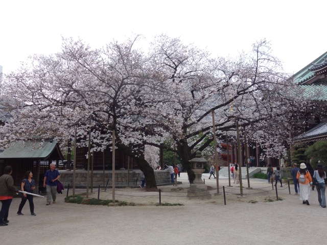 東長寺