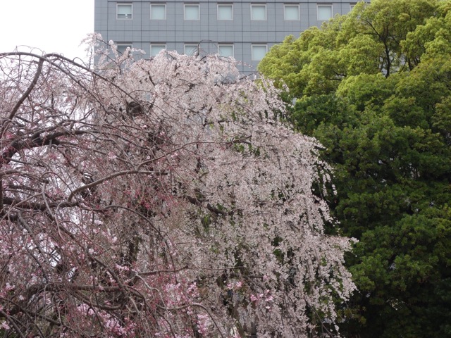 東長寺