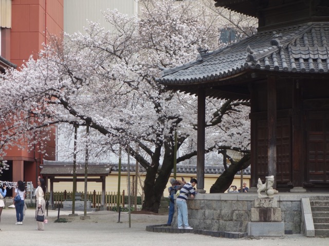 東長寺
