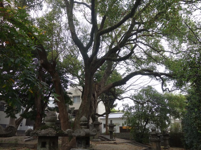 東長寺
