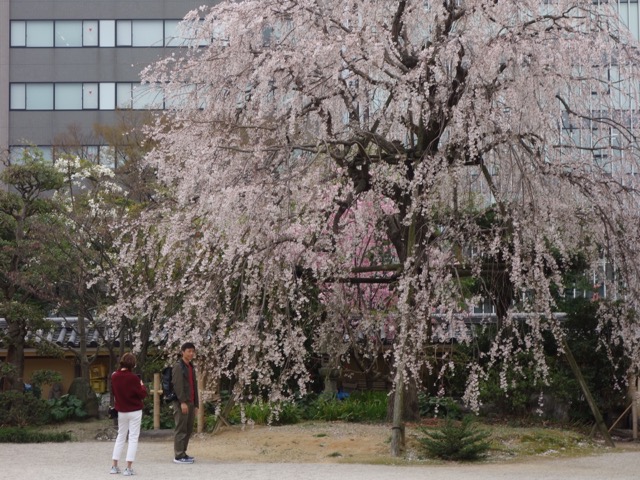 東長寺