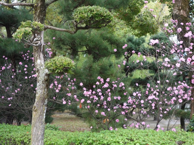 聖福寺