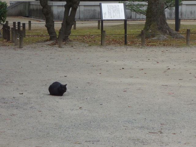 聖福寺