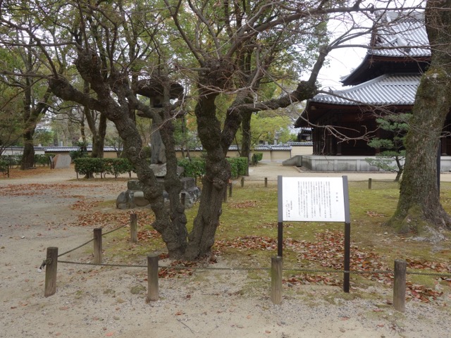 聖福寺