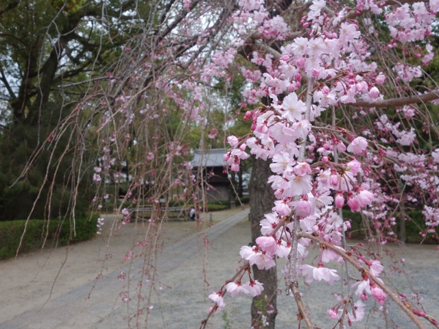 聖福寺