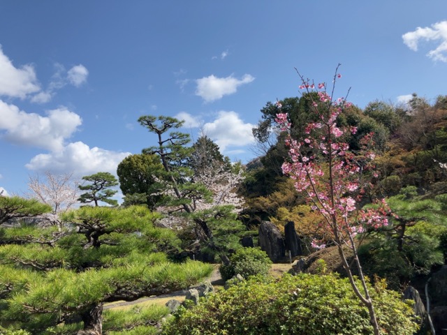 半べえ