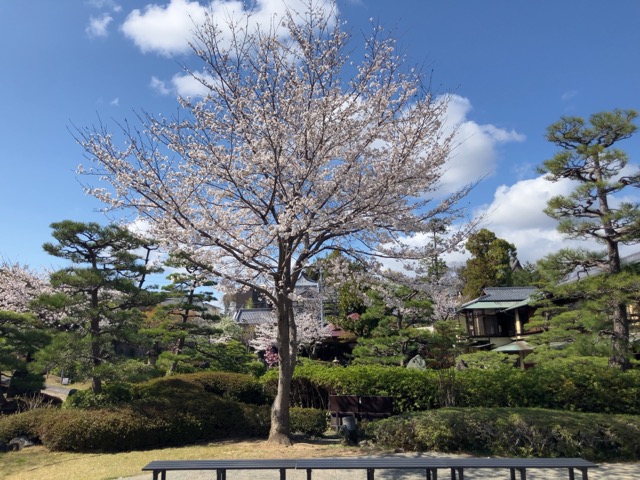 半べえ