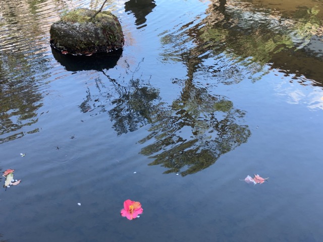 半べえ