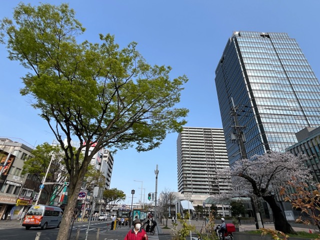 MI-TEさかい(堺市役所21階展望ロビー)