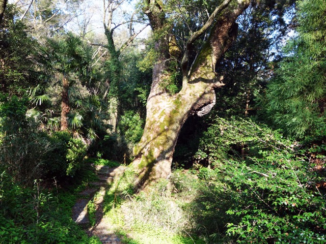 奈良豆比古神社