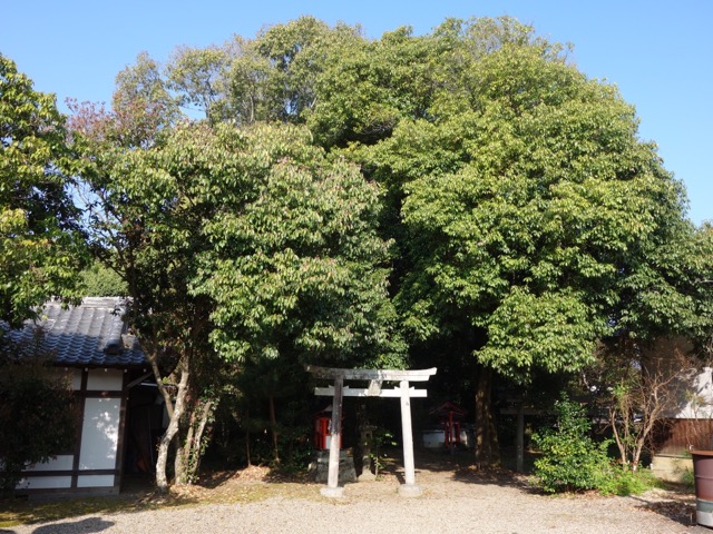 奈良豆比古神社