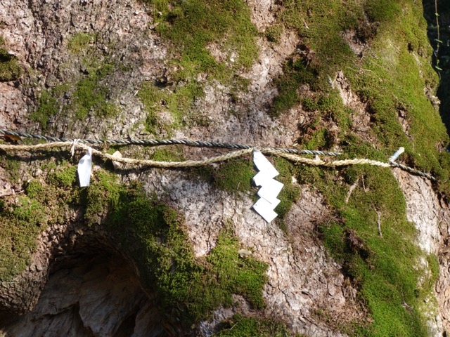 奈良豆比古神社