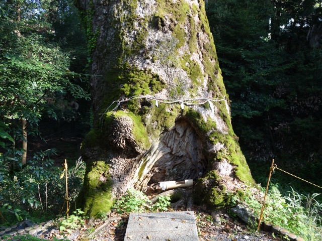 奈良豆比古神社