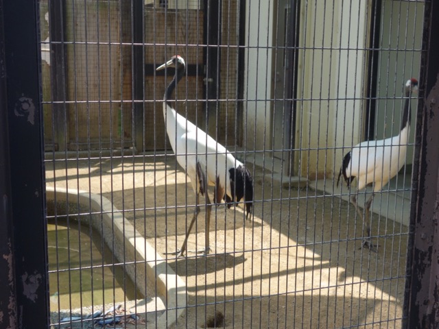 姫路市立動物園