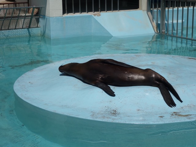 姫路市立動物園