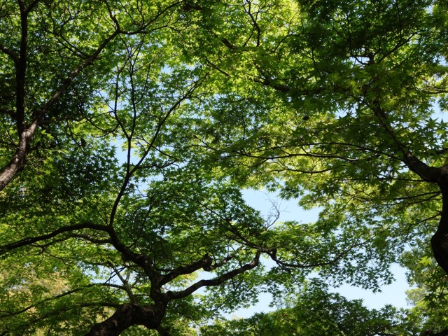 兵庫縣姫路護國神社