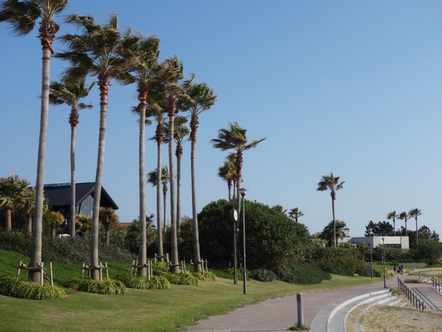 神戸空港島西緑地