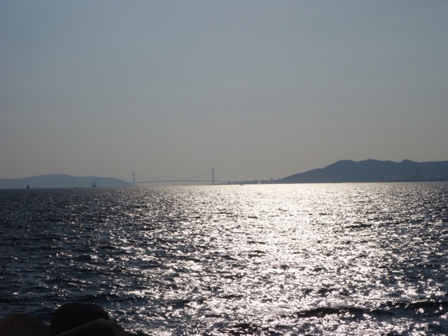 神戸空港島西緑地