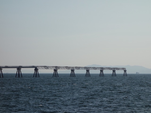 神戸空港島西緑地