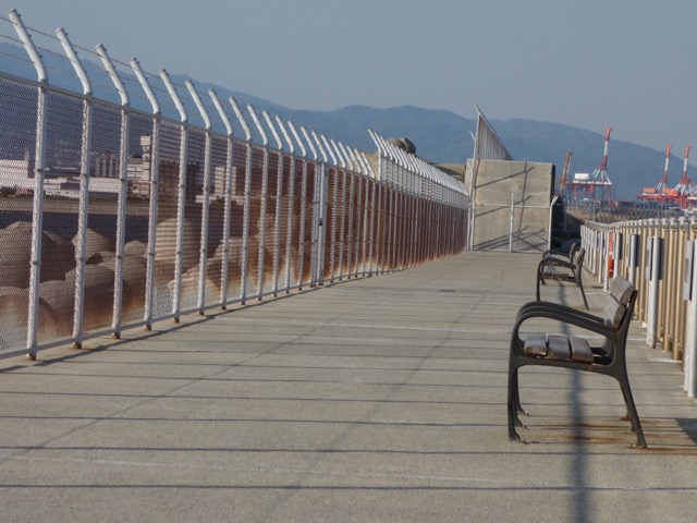 神戸空港島西緑地