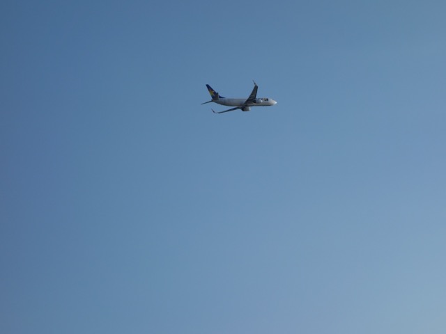 神戸空港島西緑地