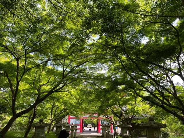 高山寺