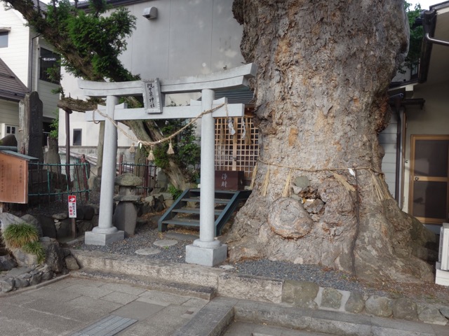 まつもと城下町湧水群