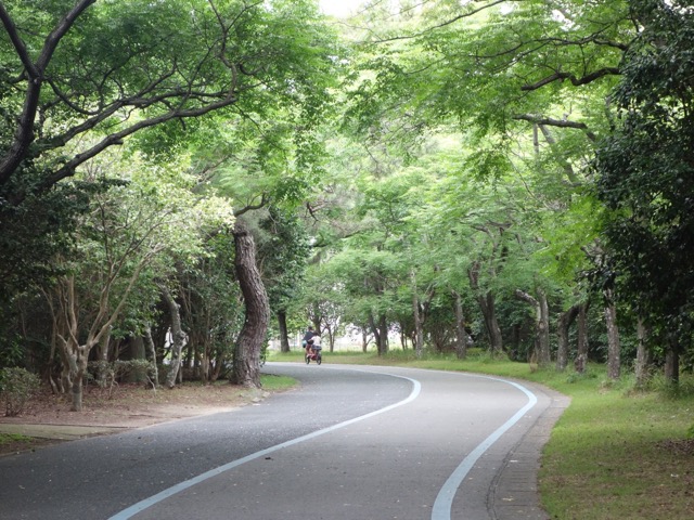海の中道海浜公園