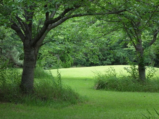 海の中道海浜公園