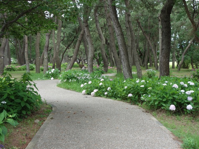海の中道海浜公園