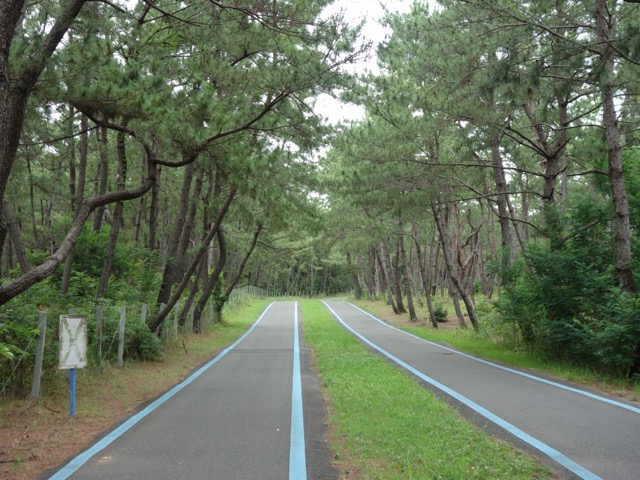 海の中道海浜公園