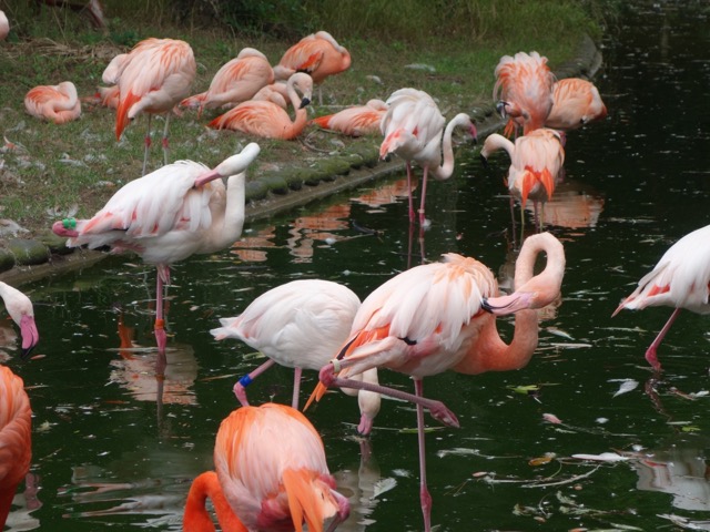 海の中道海浜公園